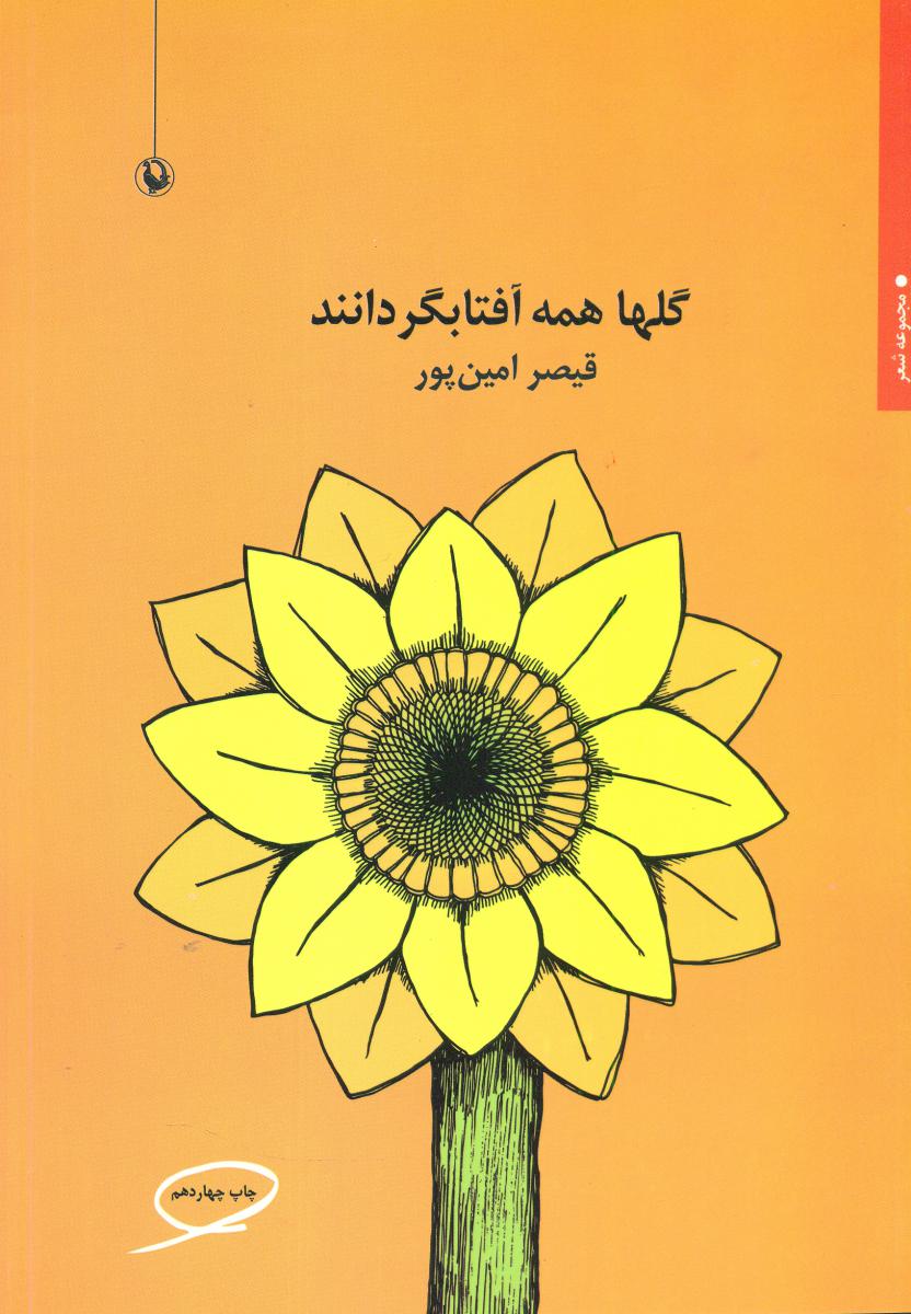 گلها همه آفتابگردانند/مروارید