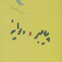 کتاب پیامبر و دیوانه /رقعی /کارنامه