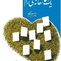 یک‏ عاشقانه ‏آرام شومیز / امیرکبیر