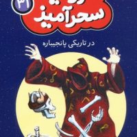 سرزمین سحر آمیز 31_ در تاریکی پانجیباره/قدیانی