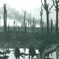 جنگ جهانی اول /فرهنگ جاوید