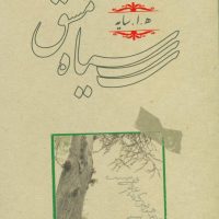 سیاه مشق /زرکوب رقعی /کارنامه