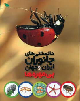 دانستنی های جانوران ایران و جهان_بی مهره ها/طلایی