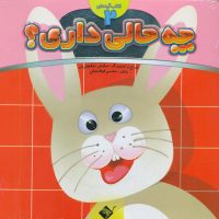 کتاب آینه ای_چه حالی داری 2/جابیرو