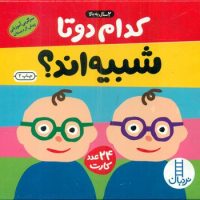 24 عدد کارت _ کدام دو تا شبیه اند؟ (2 سال به بالا) / فنی ایران