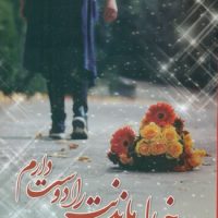 خیال ماندنت را دوست دارم/شقایق