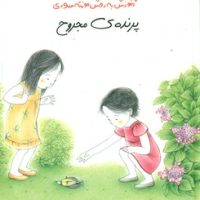 آموزش به روش مونته سوری_پرنده مجروح/دیبایه