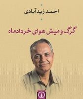 گرگ و میش هوای خردادماه/نی