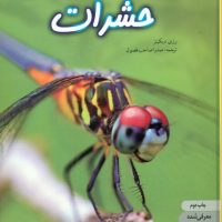 دنیای هیجان انگیز 1_حشرات/نوشته