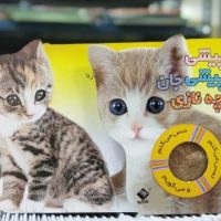 حس می کنم_پیشی پیشی جان چه نازی_گربه/جابیرو