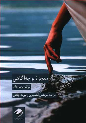 معجزه توجه آگاهی/کرگدن