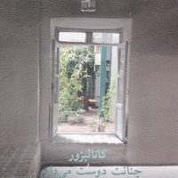 کاتالیزور و چنانت دوست می دارم .../ نیلا