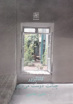 کاتالیزور و چنانت دوست می دارم .../ نیلا