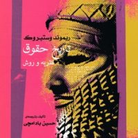 تاریخ حقوق، نظریه و روش/نگاه معاصر