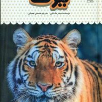 یک فنجان دانستنی درباره ی 5_ ببر ها/نوشته