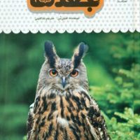 یک فنجان دانستنی درباره ی 11_ جغد ها/نوشته