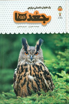 یک فنجان دانستنی درباره ی 11_ جغد ها/نوشته