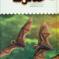 یک فنجان دانستنی درباره ی 7_ خفاش ها/نوشته