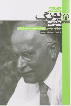 چگونه یونگ بخوانیم/نی