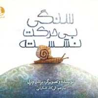 سنگی بی حرکت نشسته/چار