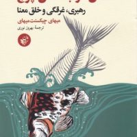 شغل خوب شغل پوچ/ترجمان