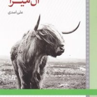 ال میرا / لوح فکر