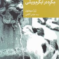 مگره در آبگرم ویشی/جهان کتاب
