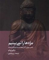 مژه ها را نمی بینیم/ دیبایه