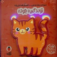 کتاب فومی 1 _ تولد گربه جونه/ کتاب پرنده