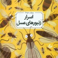 اسرار زنبور های عسل _ جلد نرم/طلایی