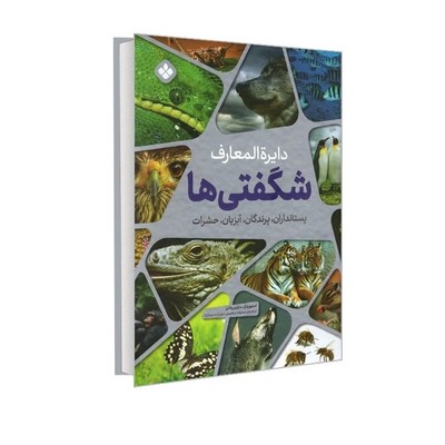 دایره المعارف شگفتی ها/پنجره