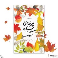 پرنده ی سیاه بزرگ/فاطمی