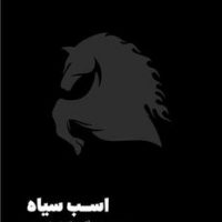 اسب سیاه / مون