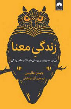 زندگی معنا / نشر میلکان