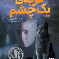 گربه ی یک چشم/فنی ایران