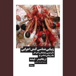 زیبایی شناسی کنش اجرایی / نیماژ