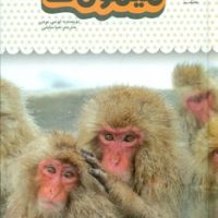 یک فنجان دانستنی درباره ی 3_ میمون ها/نوشته