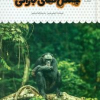 یک فنجان دانستنی درباره ی 33_ جنگل های بارانی/نوشته