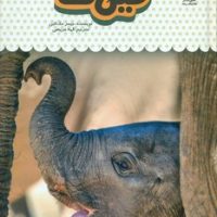 یک فنجان دانستنی درباره ی 6_ فیل ها/نوشته