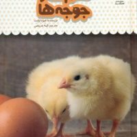 یک فنجان دانستنی درباره ی 14_ تخم ها و جوجه ها /نوشته