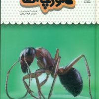 یک فنجان دانستنی درباره ی 22_ مورچه ها/نوشته