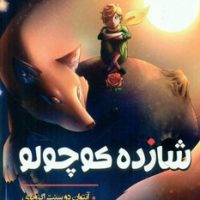 دو زبانه _ شازده کوچولو / یکنام