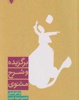 برگزیده و شرح مثنوی / فرزان روز