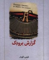 گزارش برودک (دیدآور)