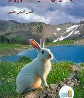 خرگوش سفید کوچولو/غنچه