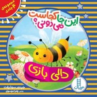 پک 4 جلدی قابدار _ دالی بازی_این جا کجاست می دونی؟/فنی ایران