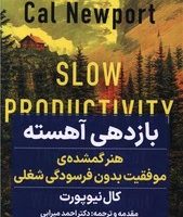 بازدهی آهسته / نگاه نوین