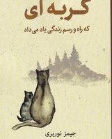 گربه ای که راه و رسم زندگی یاد می داد/ نارنگی