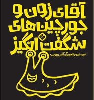 آقای زون و جورچین های شگفت انگیز /پنجره