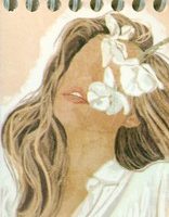 دفتر یادداشت لقمه ای کد 0256/دلوین